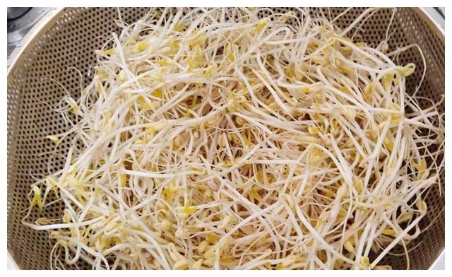 想吃豆芽不用买教你自己在家种4天一茬随吃随种特省事