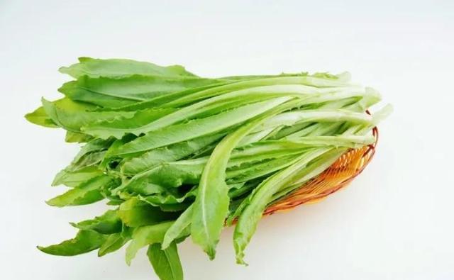 1,将从菜市场买来的油麦菜洗净,拦腰切断.