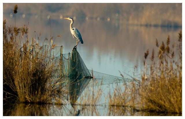 伍姓人口_伍姓湖:绿水青山带笑颜