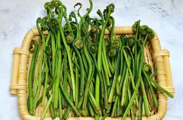 这菜春天才有,碰运气才能买到,好吃又减肥,女生不吃亏大了|蕨菜|凉拌