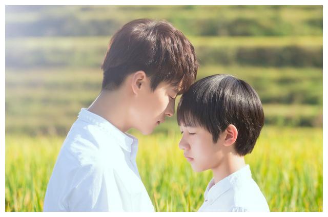 马天宇粉丝有多牛?