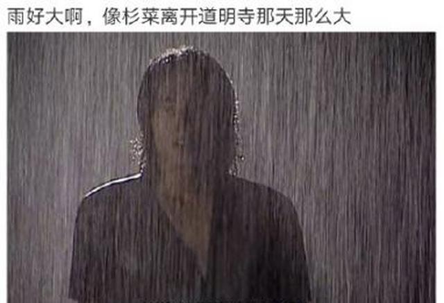 雨好大的梗在唐诗宋词里怎么玩?李白杜牧苏轼陆游唐婉这么说