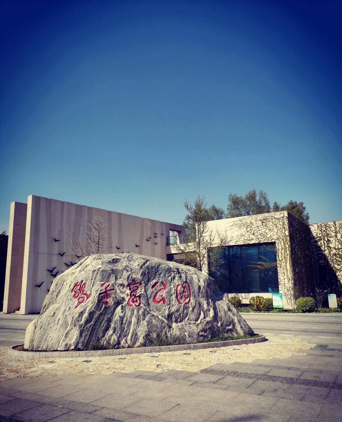 秦皇岛网红打卡地鸽子窝公园