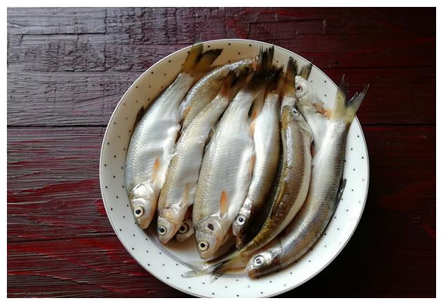 【板黄鱼】细鳞斜颌鲴又名沙姑子,黄尾刁,黄板鱼等,板黄鱼是松花江的