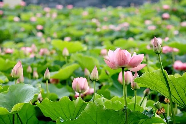 我不帮儿媳带孩子,我老了进养老院!儿子:妈,你有钱去养老院吗休闲区蓝鸢梦想 - Www.slyday.coM 我不帮儿媳带孩子,我老了进养老院!儿子:妈,你有钱去养老院吗休闲区蓝鸢梦想 - Www.slyday.coM