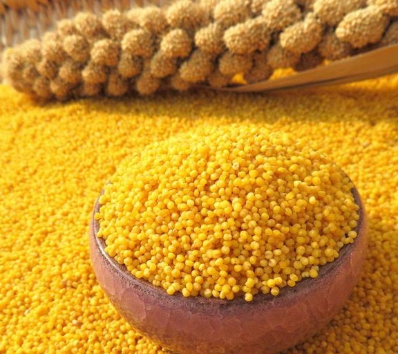 煮小米粥时，不要再直接下锅了，早餐店老板透露妙招，煮的更香浓休闲区蓝鸢梦想 - Www.slyday.coM