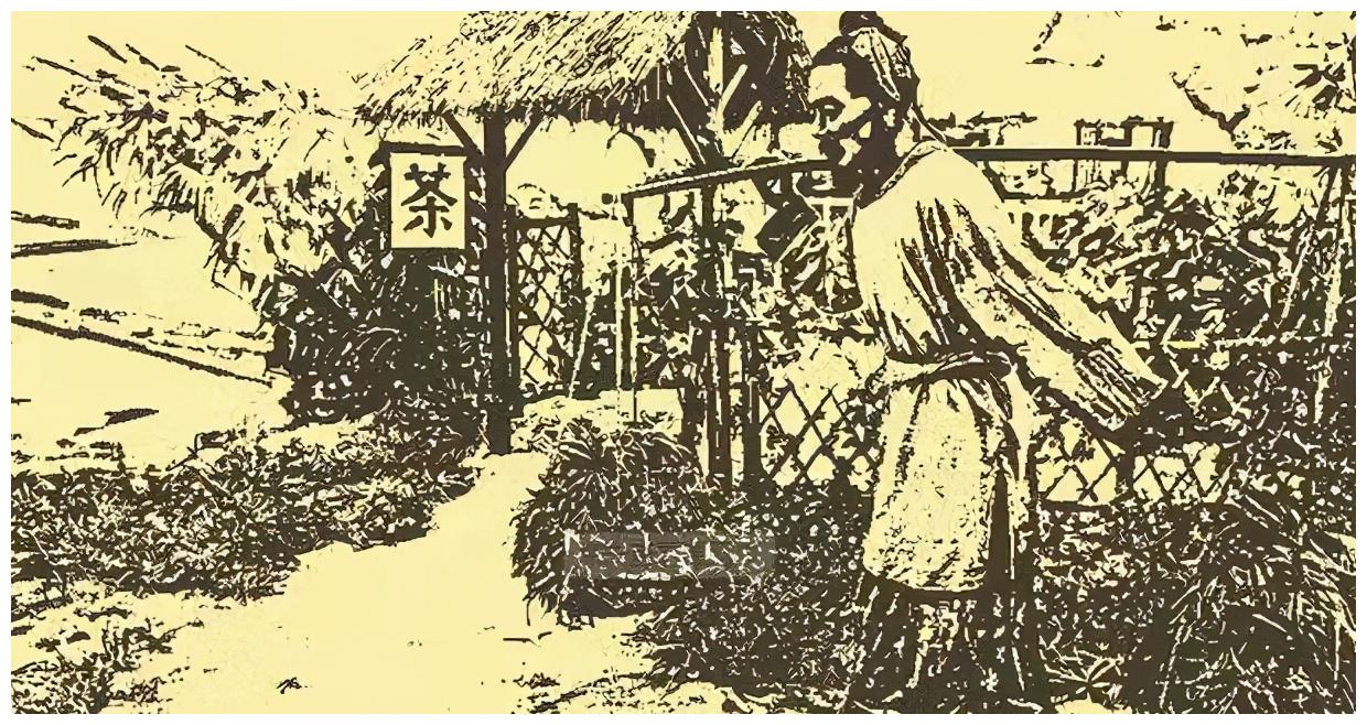 民间故事：婆婆做了个噩梦，醒来把儿媳埋了，算命先生：你做得好休闲区蓝鸢梦想 - Www.slyday.coM