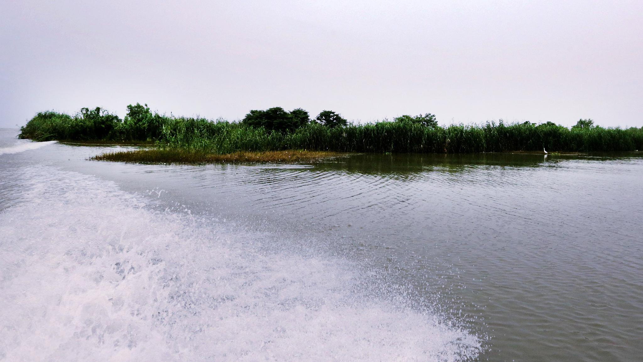 长荡湖水街,水八卦被淹没,防汛抗洪处于重要关口