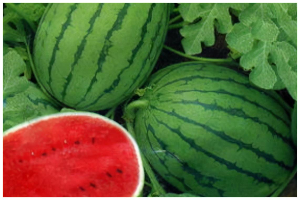 在沙漠中看到满地的西瓜,为何没人摘?再口渴也不能摘休闲区蓝鸢梦想 - Www.slyday.coM 在沙漠中看到满地的西瓜,为何没人摘?再口渴也不能摘休闲区蓝鸢梦想 - Www.slyday.coM