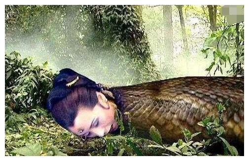 还记得西游记中的蟒蛇精吗本以为是特效看清实物后服了