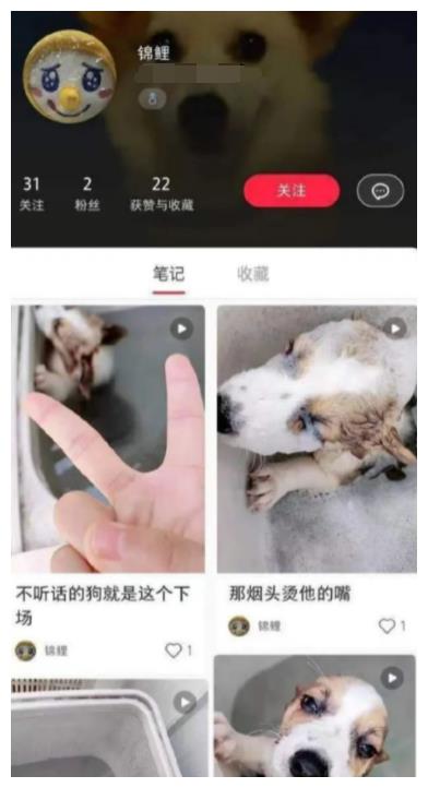 洗衣机柯基事件，有网友曝光当事人信息！休闲区蓝鸢梦想 - Www.slyday.coM