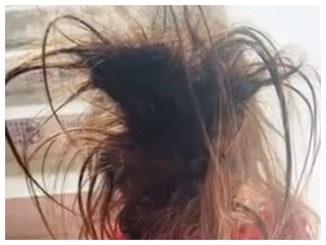 爸爸独自带娃隔离14天，回家后妈妈用一瓶发膜给女儿洗头：忍不休闲区蓝鸢梦想 - Www.slyday.coM