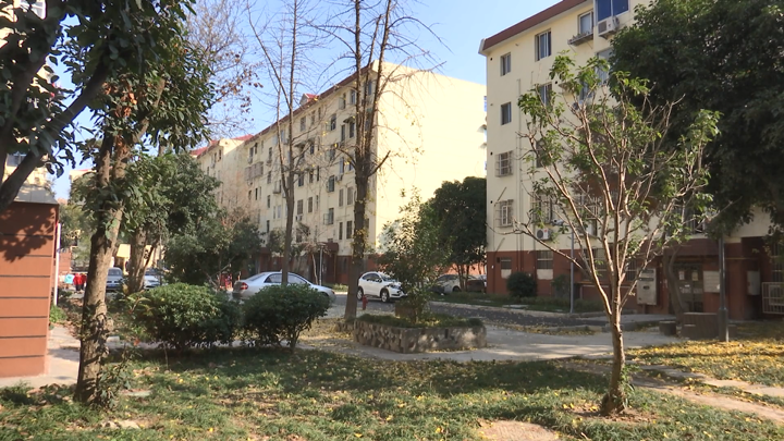 儿子去世留下两套拆迁房，七旬老太只求能独居小套房屋儿媳不同意