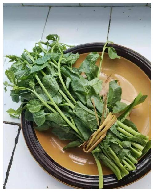 滑菜被称为"脾之菜",可养脾排毒,最适合做腌菜