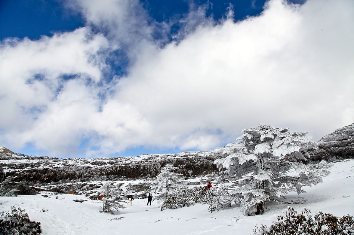 游览轿子雪山赏白雪雾凇观云雾弥漫附带游玩攻略