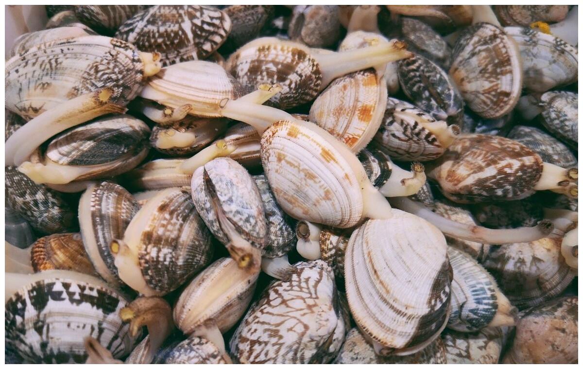 炒花甲,先焯水还是直接炒?教你正确做法,肉质鲜嫩没有一点泥沙