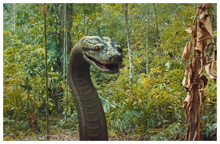 终极笔记蛇难缠它为啥会叫野鸡脖子主要它有两个特征