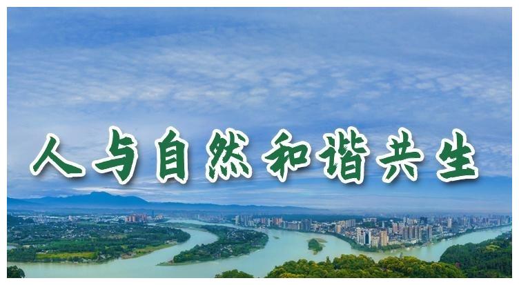 公益广告人与自然和谐共生