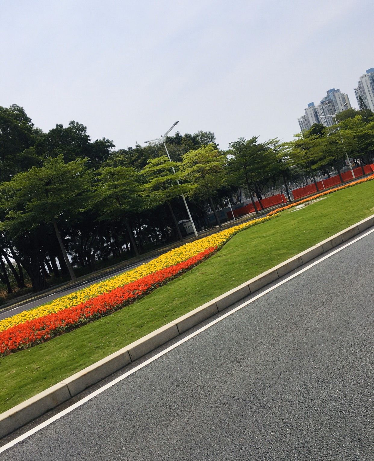 深圳深南大道的非凡气派与高质量的绿化,深深地令人着迷