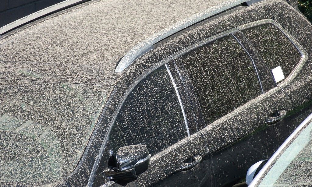 北京遭遇沙尘雨 汽车变"泥车"