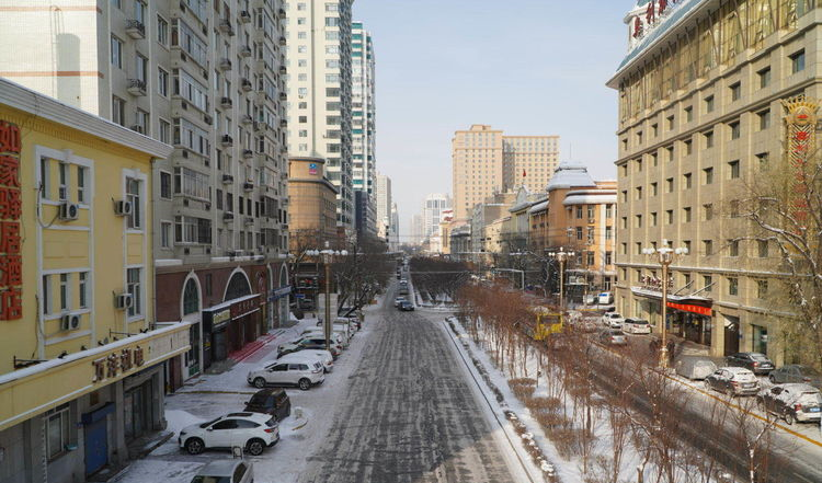 东北未来最吃香的城市，是大连、长春、沈阳还是哈尔滨？