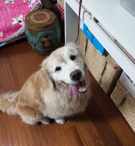 走进周海媚在<a href=