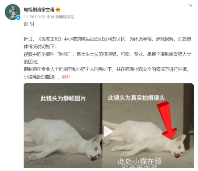 群演称猫被电死？当家主母剧组已报案休闲区蓝鸢梦想 - Www.slyday.coM