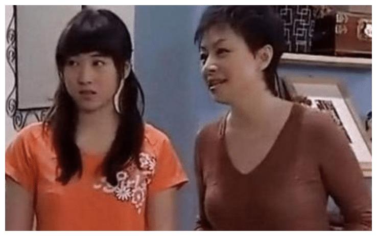 第三部家有儿女中的小雪是由宁丹琳饰演的,但是她的突然顶替也是让