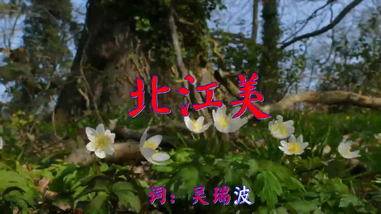 dj何鹏,王馨的一首《北江美》,听者的福利,轻声细语