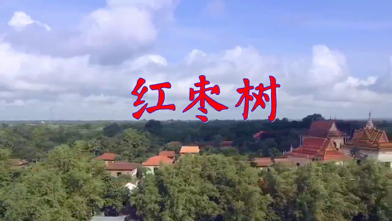 好听的任妙音歌曲《红枣树》笛子版你听过吗