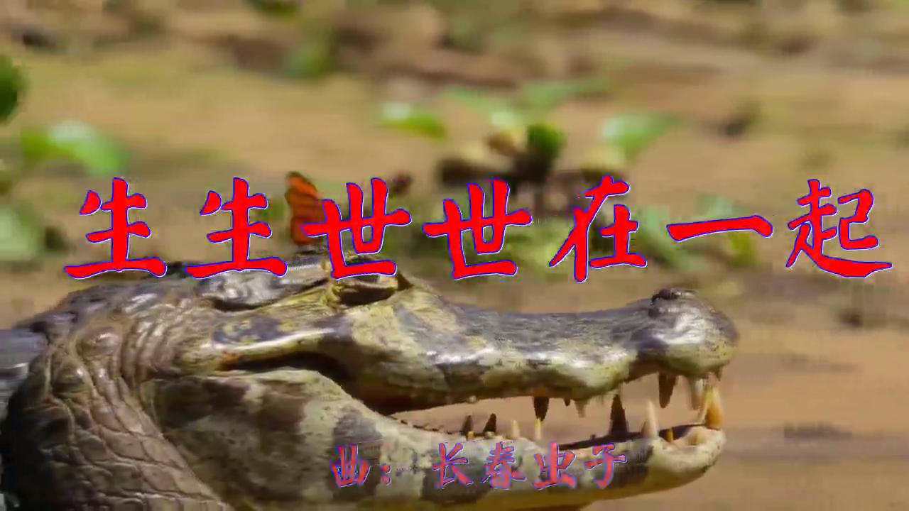 好歌分享,《生生世世在一起》,让人难忘,声动梁尘