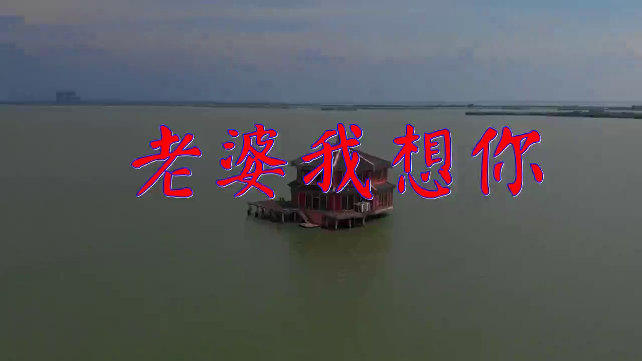 dj何鹏,赵真的《老婆我想你》,嗓音独特,堪比原唱