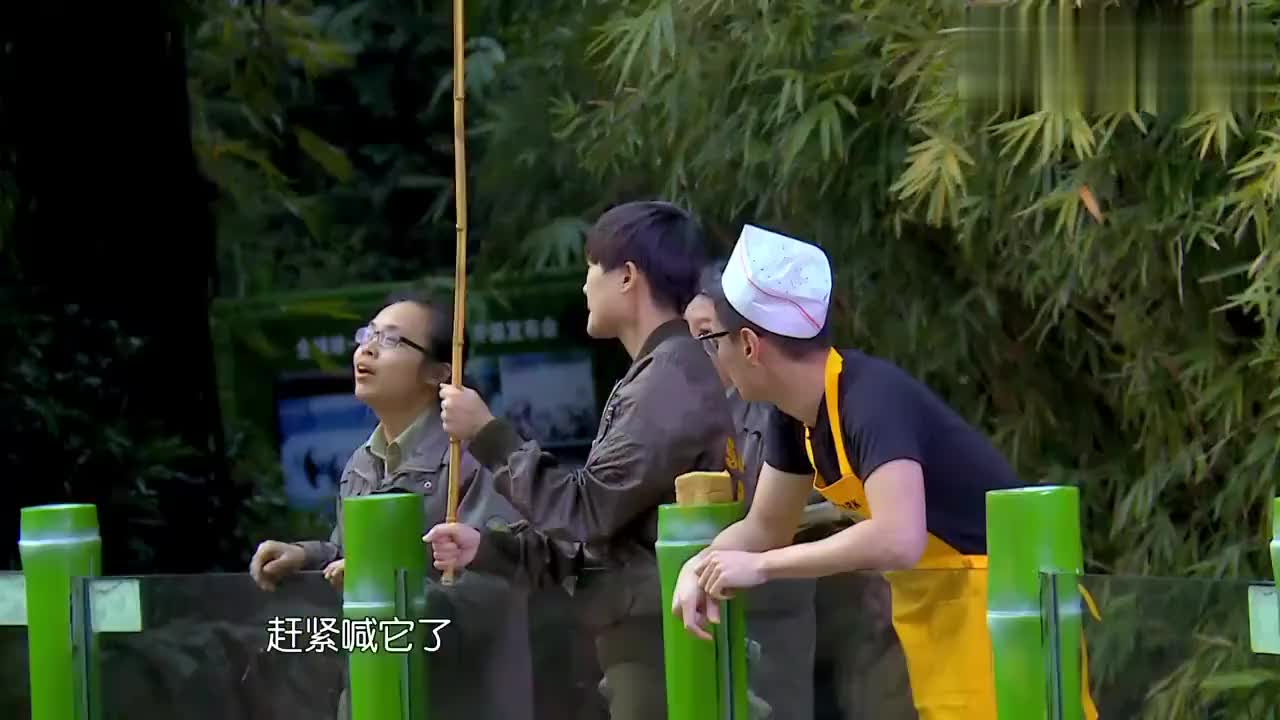 奇妙的朋友:杜天皓展狮吼神功叫破音,李宇春无情调侃,逗乐众人
