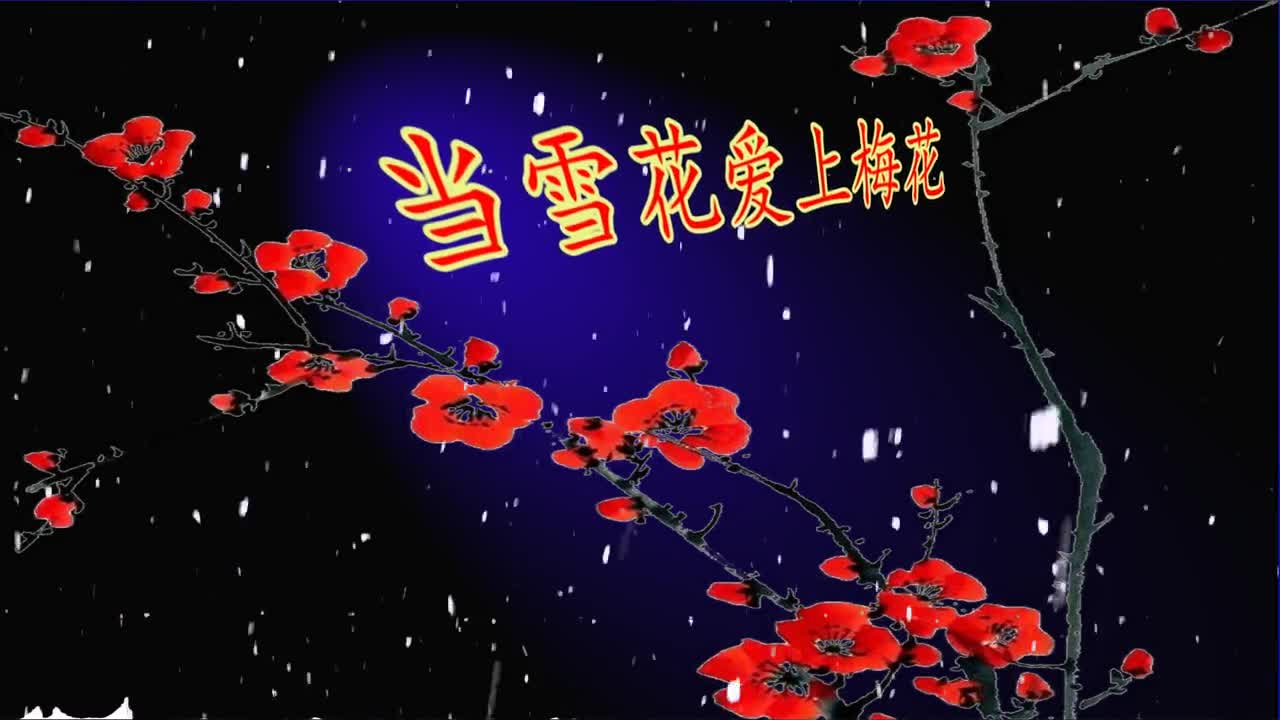 梅花梅花我爱你图片