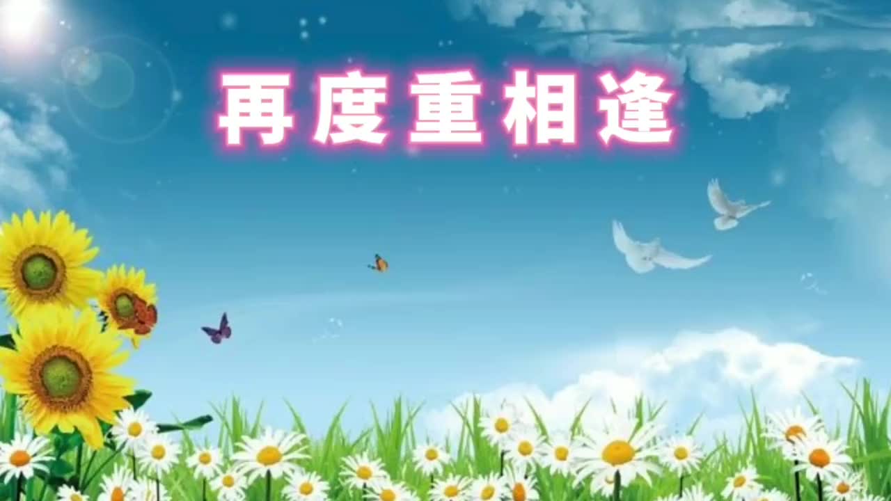 说好了下辈子再度重相逢熟悉的旋律你可还记得歌美舞美