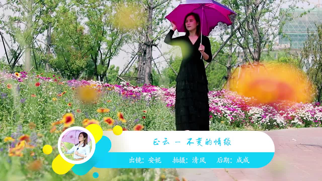《不变的情缘》忘不了你,也放不下你,期待和你再相遇!