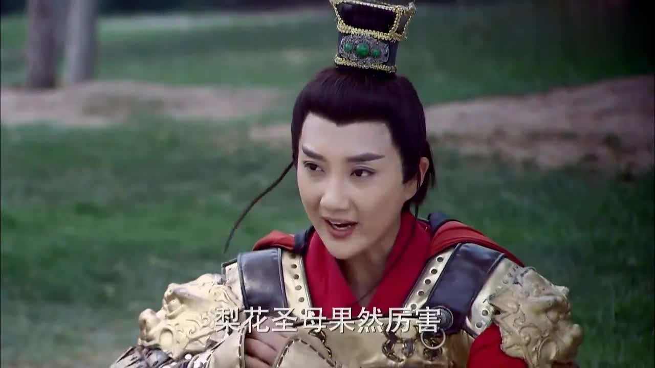 薛葵见谁都打,没想到打了半天才发现,这是自己祖母樊梨花