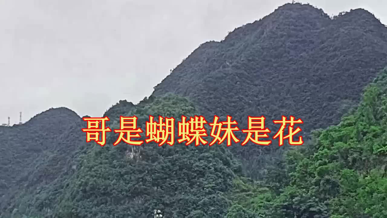 云南山歌《哥是蝴蝶妹是花》民间小调,经典山歌