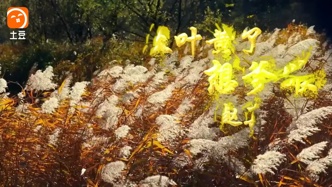 笛子《秋叶黄了想爹娘》揪心的好听,听哭了所有想家的人!