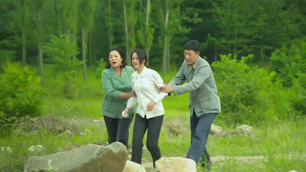 小草青青赵喜鹊去集市上瓷牛为何她将所有瓷牛都摔在地上