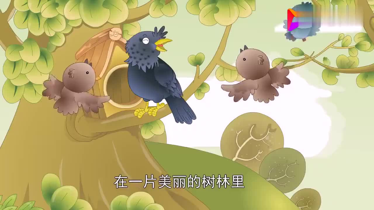 八哥学舌的故事视频
