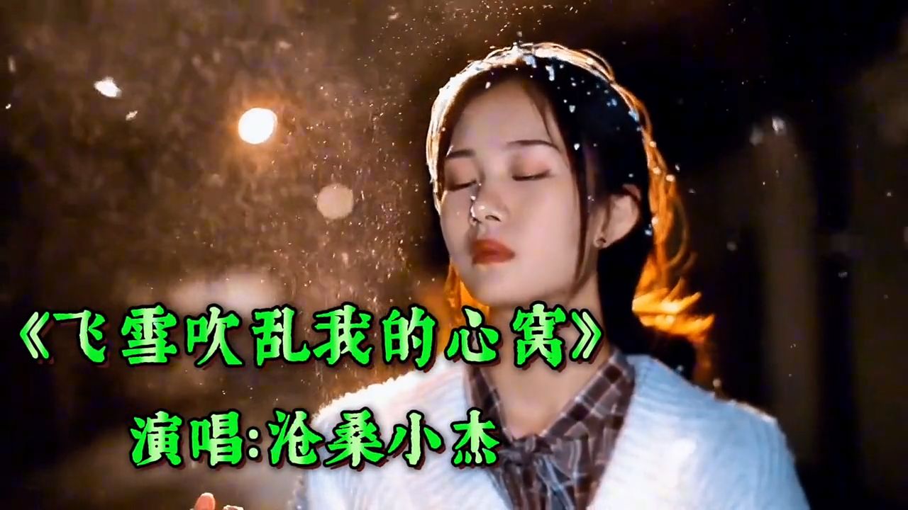 《飞雪吹乱我的心窝》_沧桑小杰演唱，歌声饱含深情，伤感好听