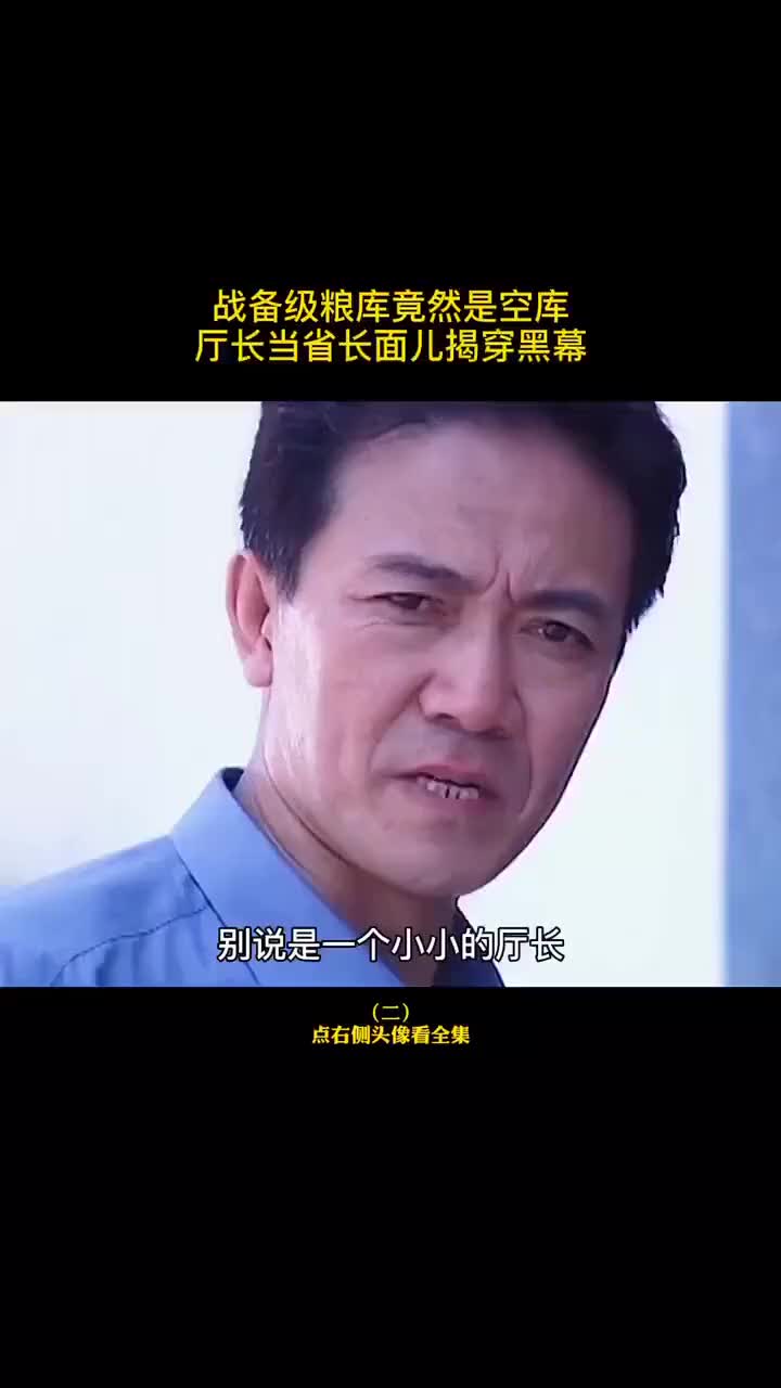 战备级粮仓竟是空库，厅长当着省长的面揭露黑幕