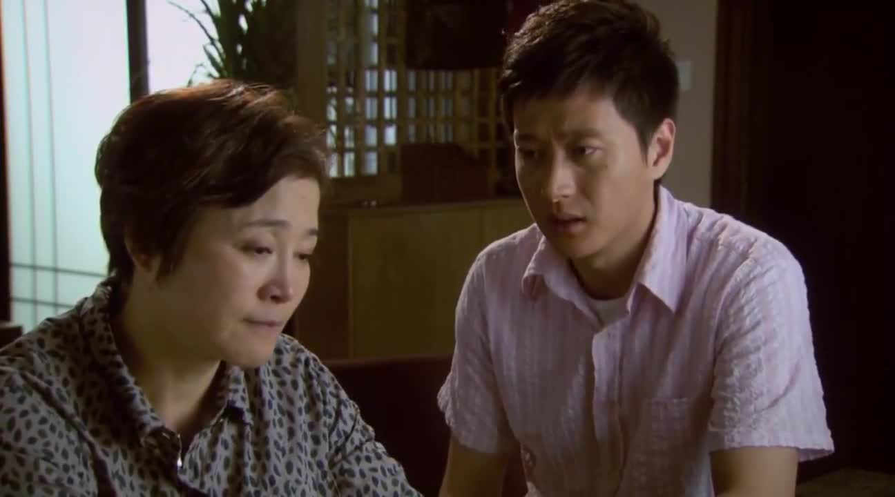 宝贝儿回家第9集:小乐留言找李岚,回忆旧爱念点滴