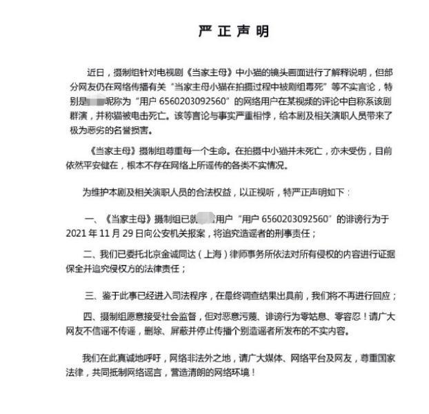 群演称猫被电死？当家主母剧组已报案休闲区蓝鸢梦想 - Www.slyday.coM