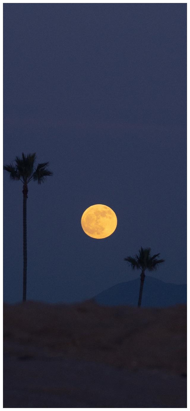 温柔治愈系手机壁纸