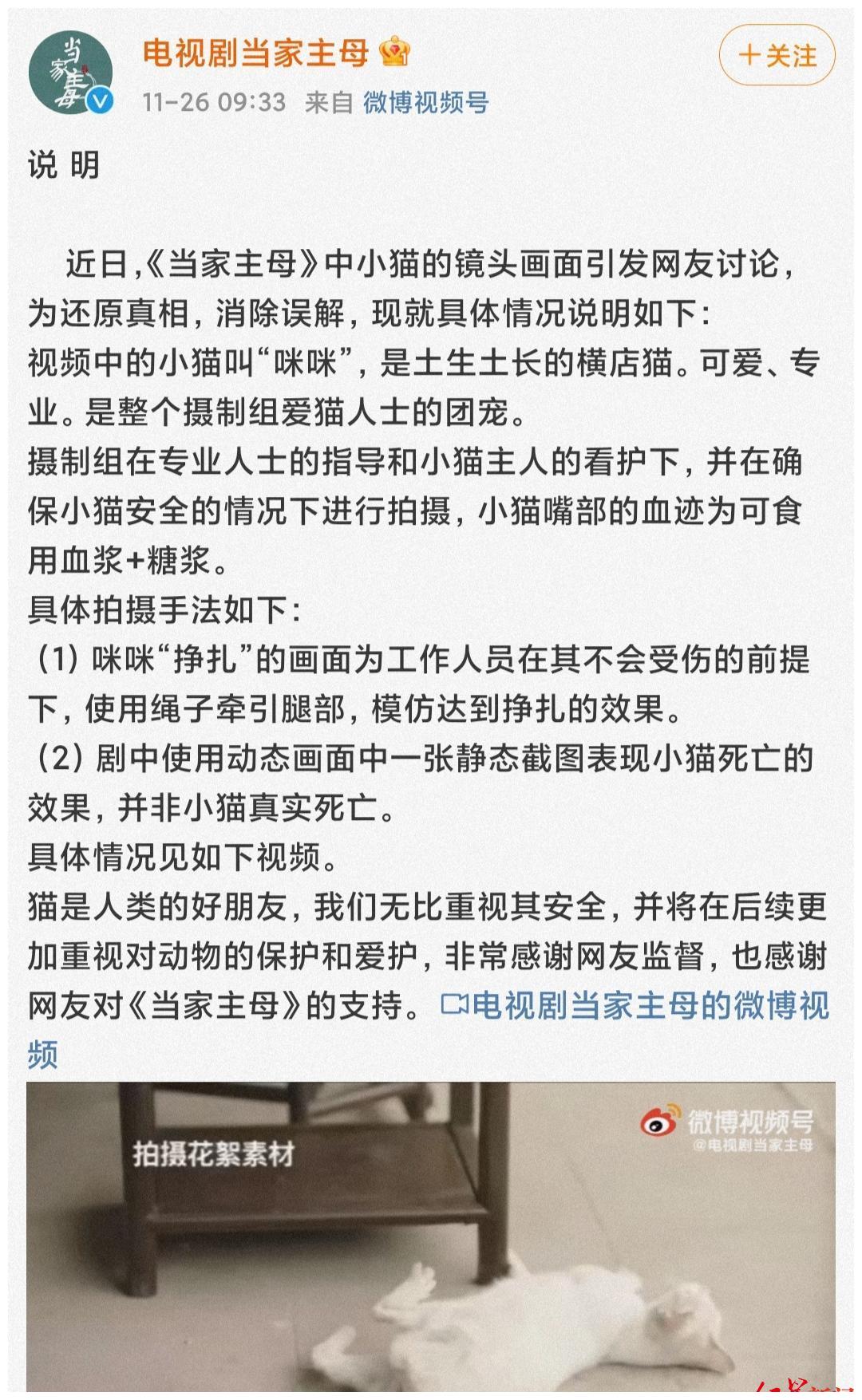 群演称猫被电死？当家主母剧组已报案休闲区蓝鸢梦想 - Www.slyday.coM