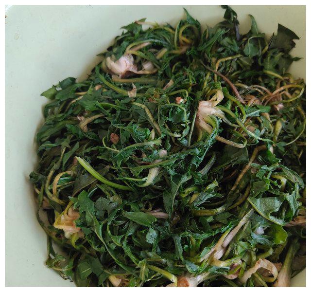 婆婆丁煎蛋享受野菜的美味