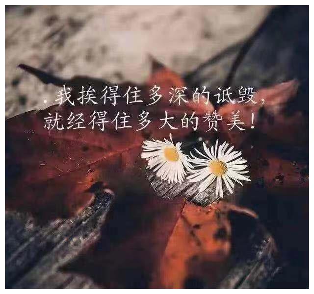 2021最霸气的微信个性签名很潮很有范女生一看就喜欢
