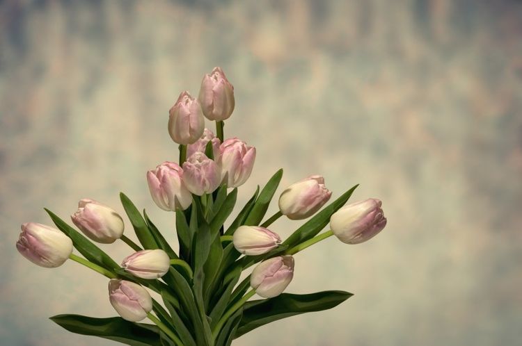 3月末，桃花到来，激动不已，3大星座爱你如初，往后余生绝不放手